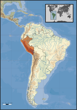 Südamerika -Peru
